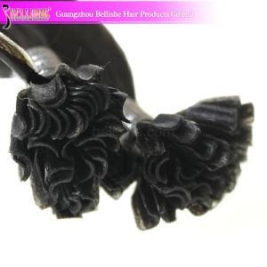 Top Quality Color #2 Brazilian Virgin Human Hair U-Tip Hair