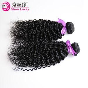 Overnight Delivery Kanekalon Kinky Curly Hair Weaves High Temperature Fiber Hair Synthetic Bundles Sewing Hair Extension