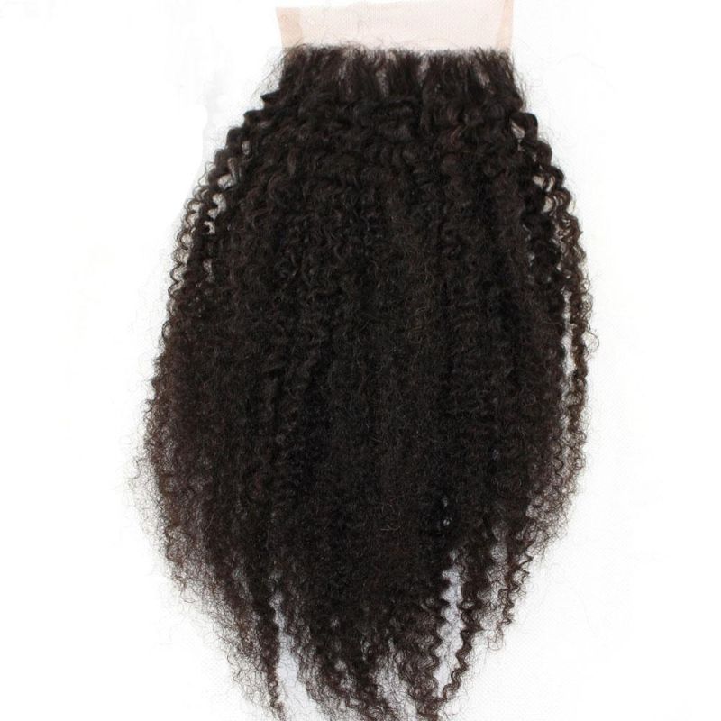 Brazilian Virgin Afro Kinky Curly Human Hair Bundles with Lace Closure