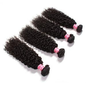 Natural Black Color Top Grade Silky Curly Human Hair Weaving