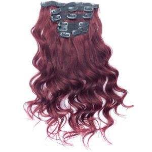 99j Indian Loose Wave Clip-in 100% Human Hair