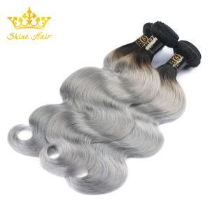 Body Wave #1b/Grey Ombre Color Human Hair Bundle with Shedding Free