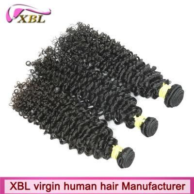 Wholesale Remy Curly Hair Mink Brazilian Hair