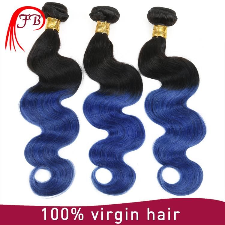 Brazilian Virgin Omber 100% Body Wave Human Remy Hair