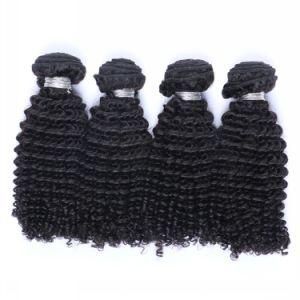 8A Grade Top Quality Virgin Malaysian Curly Virgin Remy Hair Extensions