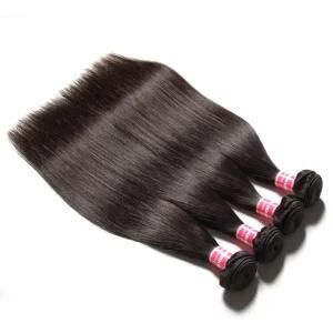 New Silky Straight Hair Weaving Malaysian Virgin Human Hair Extension