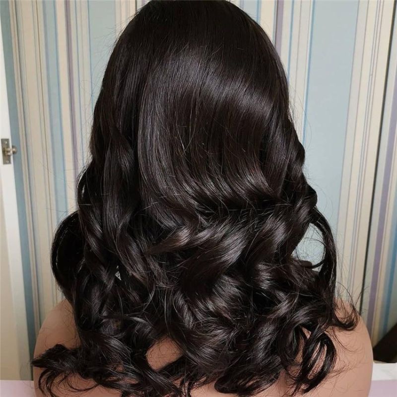 Sunlight Brazilian Body Wave Lace Front Wig