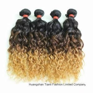 24&quot; Human Virgin Hair Extension Ombre 3tone Wave Hair