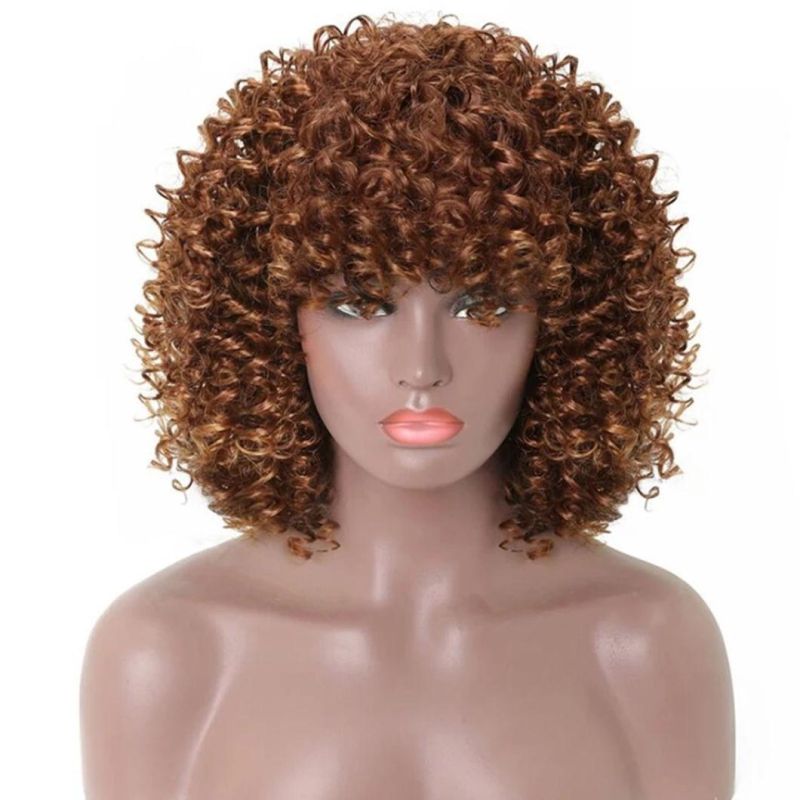 Short Bob Wigs Afro Kinky Curly Wig for Women Brazilian Black Natural Hair Front Lace 4X4 Closure 16 Inches