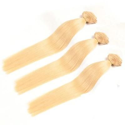Honey Blond Color 160g / 220g Double Drawn Clip in Hair Extensions