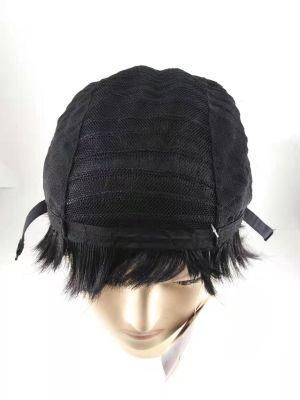 Hair Supplier Other Artificial Hair Wholesale Hair Hair Extension Wigs