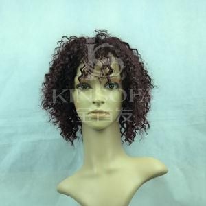 100% Human Hair Wigs-10 Inch Long
