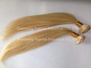 Light Color Straight Remy Hair Weft Extension