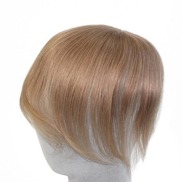 Lw1650 Factory Direct Hairpieces