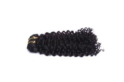 Wholesale Clip in Hair Extensions 100% Human Hair Clip Hair Extension Natural Hair Afro Kinky Curly