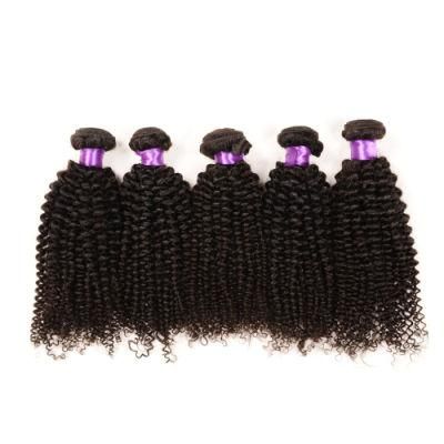 Raw Unprocessed Virgin Peruvian Hair Weaving Kinky Curly, Peruvian Curly Hair, Peruvian Jerry Curl Hair