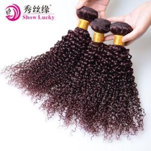 Weaving Remy Hair Extension Factory Direct Wholesale Red 99j Virgin Chinese Kinky Curly Human Hair