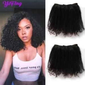 Afro Tight Curl Kinky 100% Human Clip-in Hair