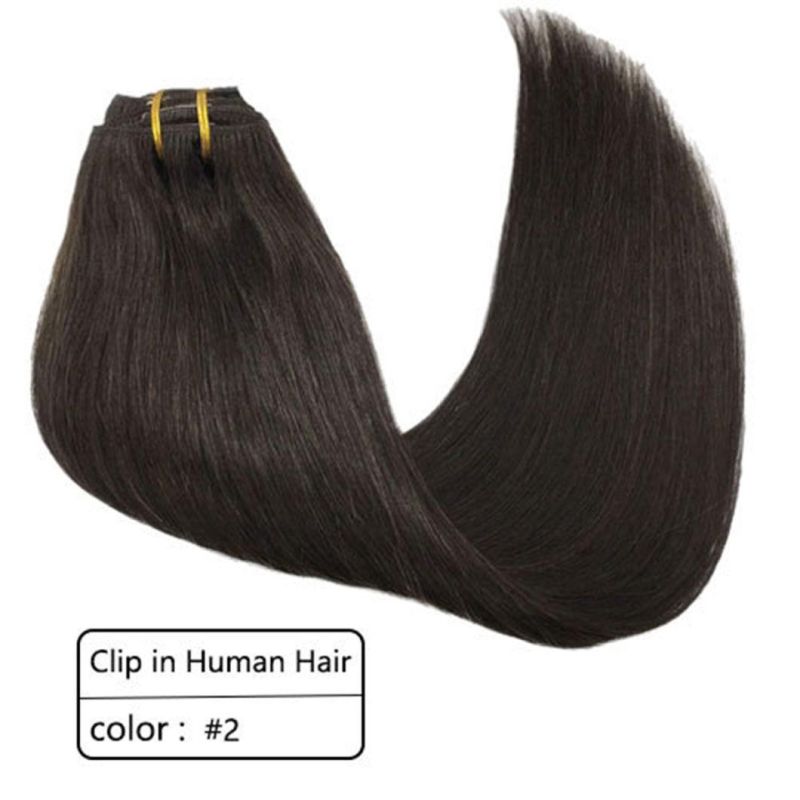 Clip in Brazilian Human Hair Extensions Full Head Remy Human Hair Straight Hair Extensions Multi Color 20 Inches