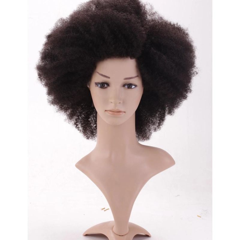 Hotsale Popular Afro Kinky Curly Swiss Lace Remy Human Hair Wig
