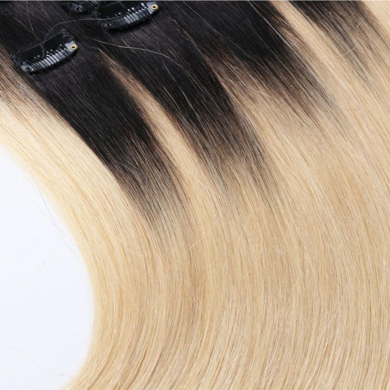 Hot Sale Wholesale Price 1A Quality Indian Virgin Remy Straight Thick Full Head Clip in Hair Extension