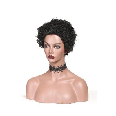 Short Curly Human Hair Wig Brazilian Lace Front Human Hair Wigs
