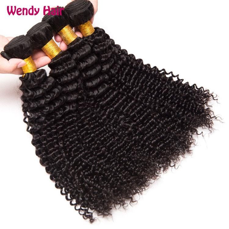 Cuticle Aligned Indian Curly Hair, Natural Hair Raw Burmese Curly Hair, Curly Brazilian Hair
