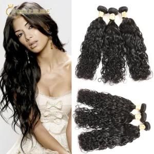 Remy 100 Human Natural Brazilian Unprocessed Virgin Hair