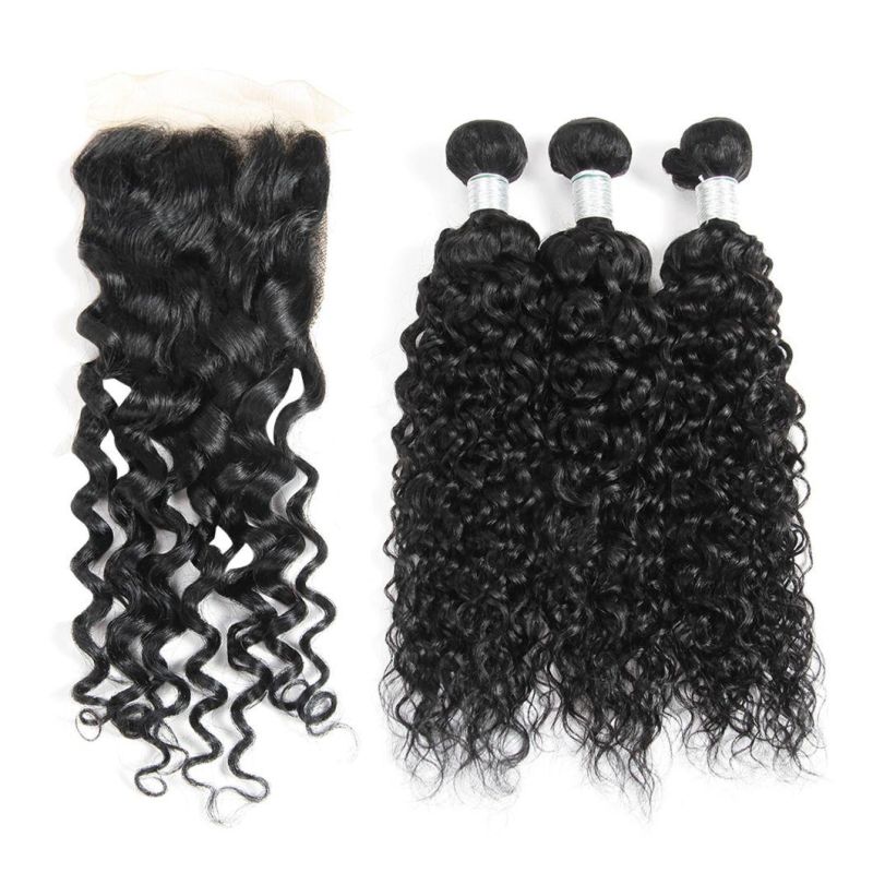 Factory Direct Unprocessed 4*4 Closure Human Hair Wig