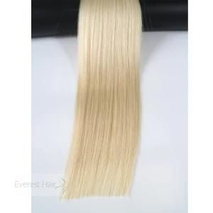 #1001 Silky Straight Cuticle Virgin Remy Human Hair Weft