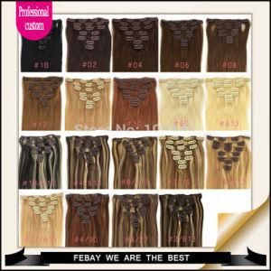 2015 Hotselling! ! ! Top Selling Clip in Human Hair Extension Clip Ins #2 Darkest Brown 100g/Pack Kitchen Your Way Customizable