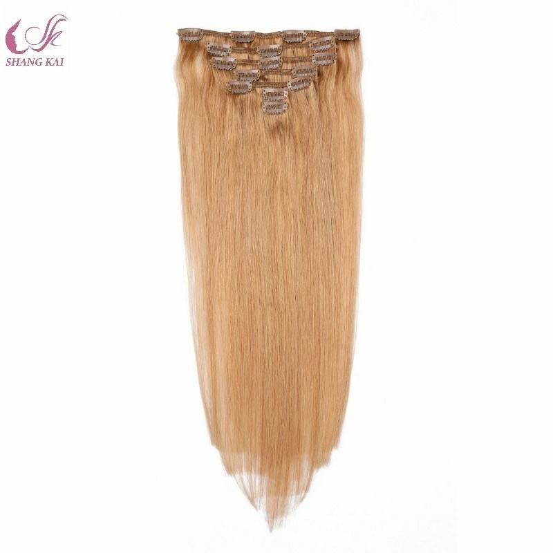 Clip in Human Hair Extension Supplier