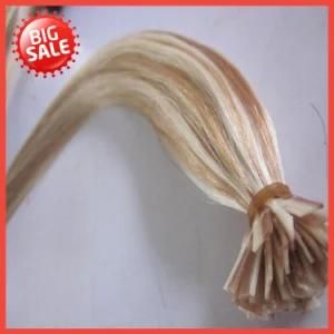 Top Quality I/U/Flat Tip Human Hair Extension