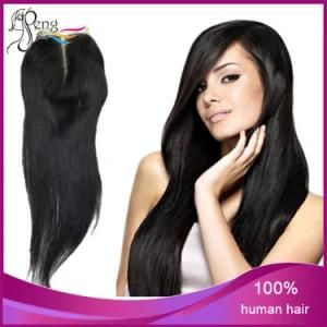 Wholesale 100% Straight Human Hair