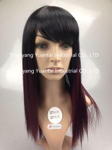 Ombre Remy Synthetic Hair Wig for Woman/ Human Hair Feeling