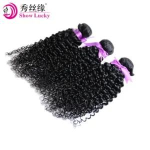 Hot Selling 12-28 Inch for Choice 100g/Bundle Kanekalon Hair Bundles Synthetic Kinky Curly Hairpieces