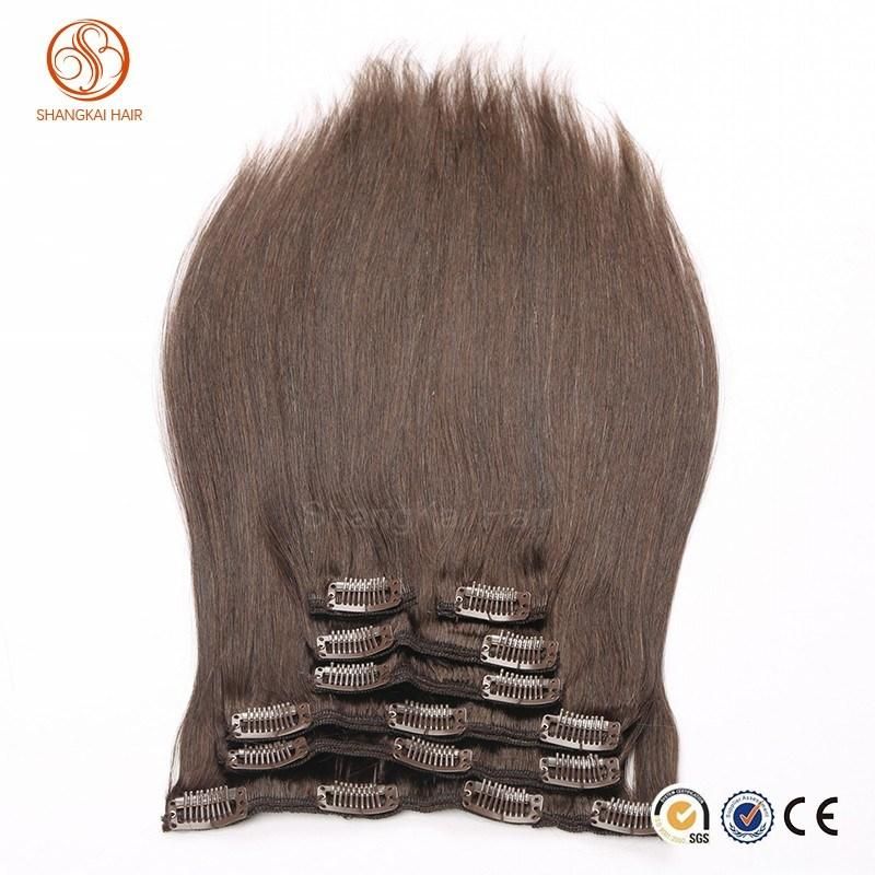 100% Remy Hair Extensions Clip in Human Hair Clip in Extensions