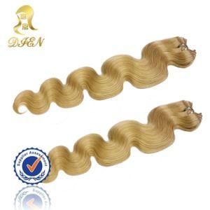 Unprocessed Remy Brazilian Virgin Hair
