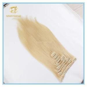 Customized Color High Quality Large Stock Clip Extension Hair with Factory Price Ex-066