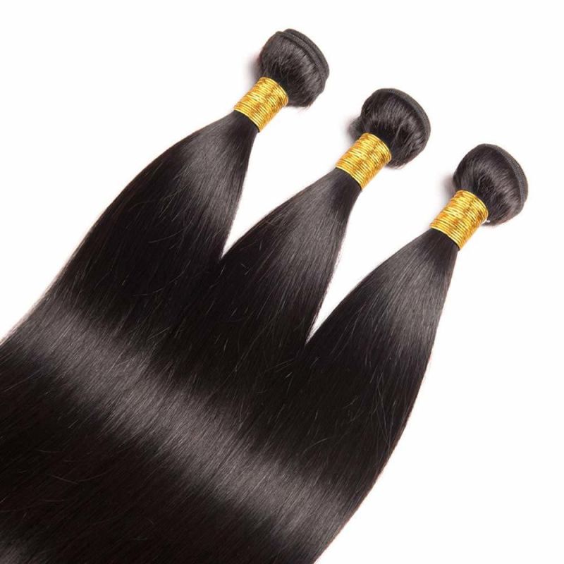 Straight Unprocessed Raw Virgin Indian Hair Bundle
