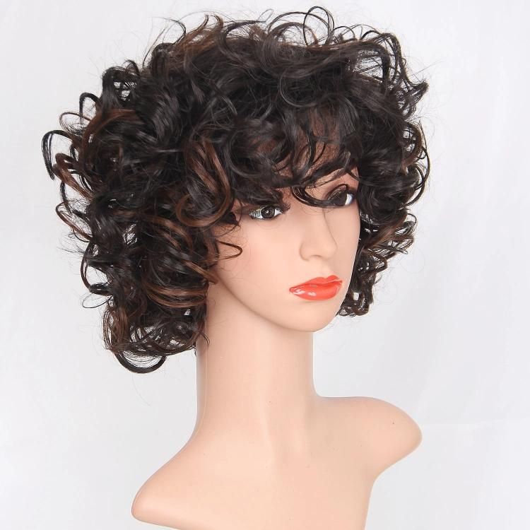 Kakiifahion Hair China Wig Factory Mix Brown Curly Short Synthetic Wig