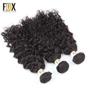 Raw Indian Virgin Human 100% Cuticle Aligned Mink Hair Weft