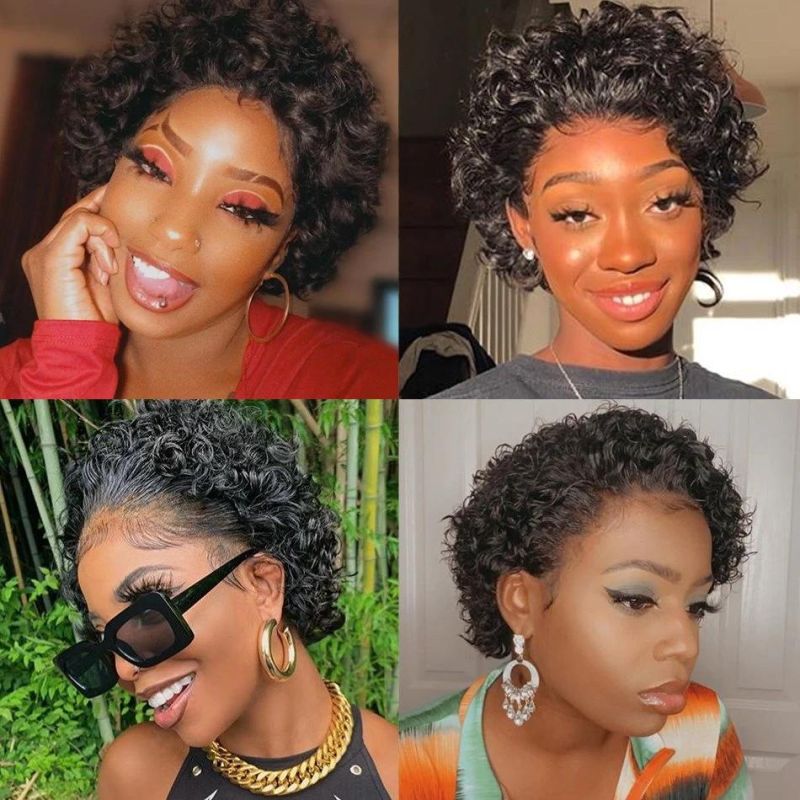 Sulight Brazilian Human Hair Pixie Curly Lace Wig