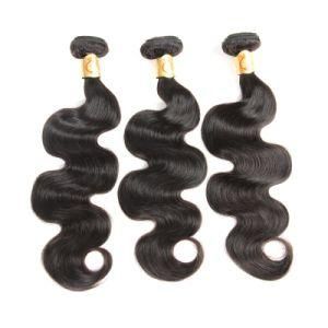 Raw Mink Unprocessed Virgin Brazilian Human Hair Weft