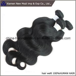 Fashion Body Wave Peruvian Human Hair Weave