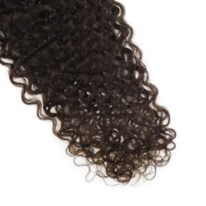 Brazilian Remy Hair Tape in Human Hair Extensions Deep Wavy