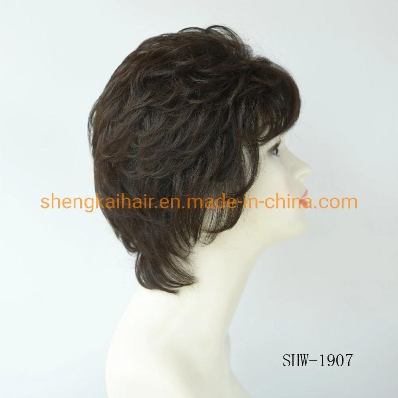 Wholesale Premium Quality Fashion Short Hair Length Full Handtied Human Hair Synthetic Hair Wig