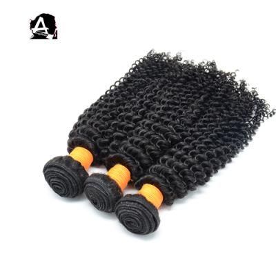 Angelbella Best Quality Cheap Price Human Hair New Arrived Kinky Curl Hair Weave Bundles
