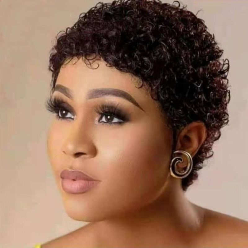 Curly Wig Human Hair Honey Blonde Human Hair Wigs Pixie Short Wigs Human Hair 150 Remy Brazilian Hair Wig
