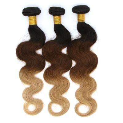 Ombre 1b/4/27 Brazilian Human Remy Hair Body Wave Remy Hair Bundles